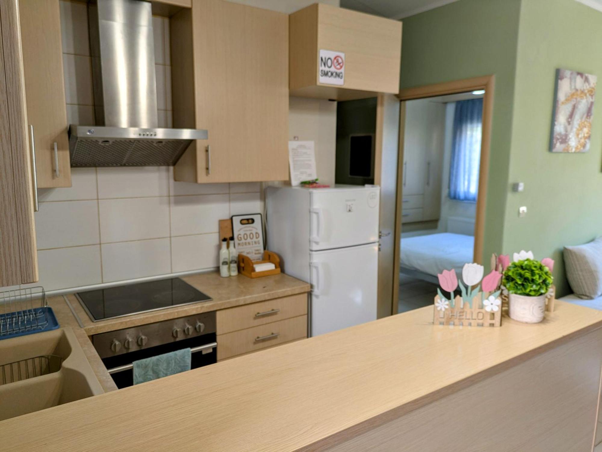 Elpida'S Houses 1 Private Parking 塞萨洛尼基 外观 照片
